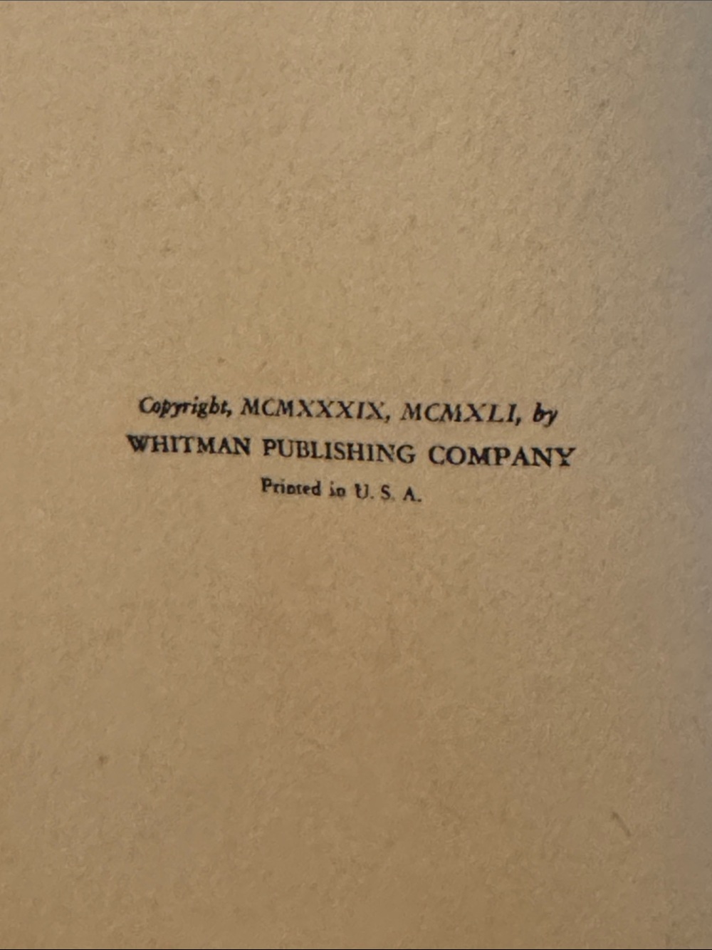 Huckleberry Finn Hardcover - Picture 5 of 10